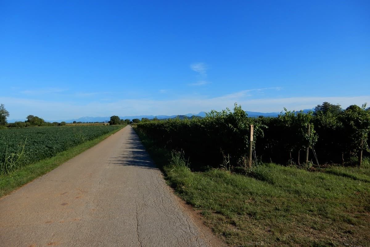 alto livenza in bicicletta